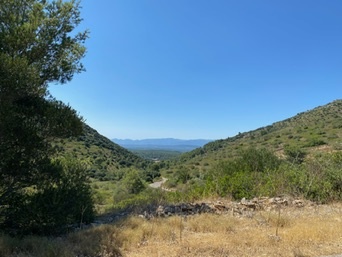 Randa