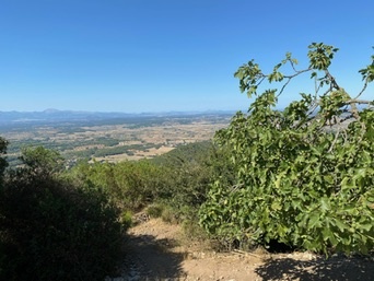 Randa