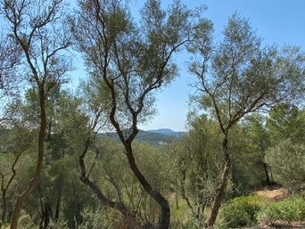 Porreres