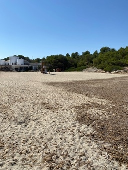 Cales de Mallorca