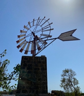Campos