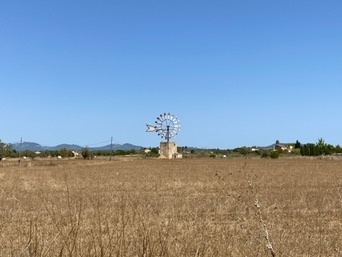 Campos