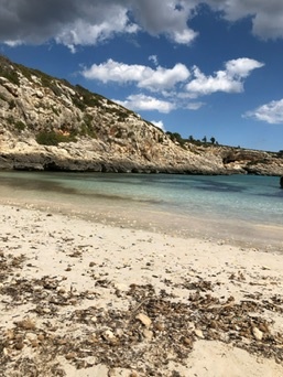 Cales de Mallorca