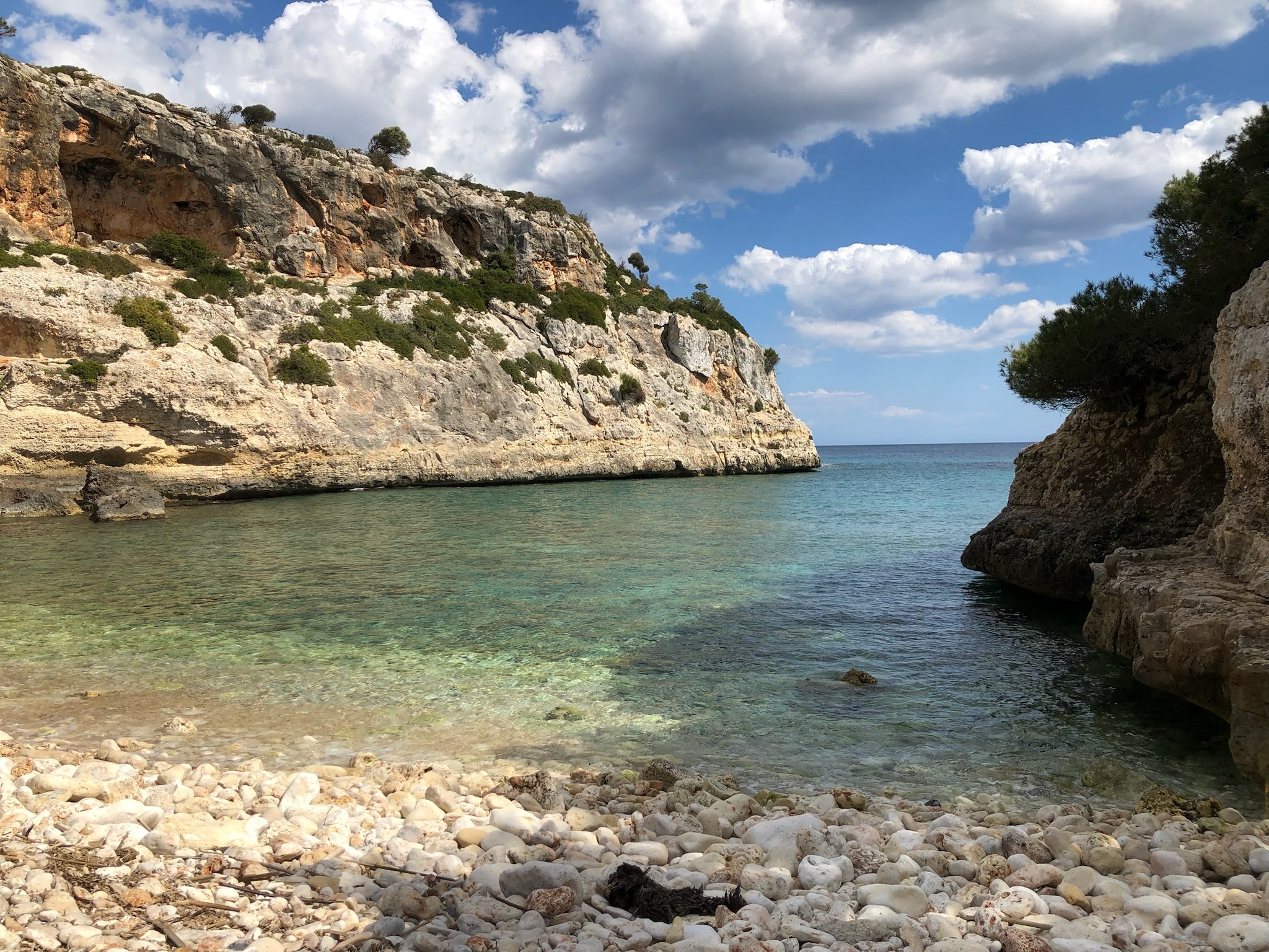 Cales de Mallorca