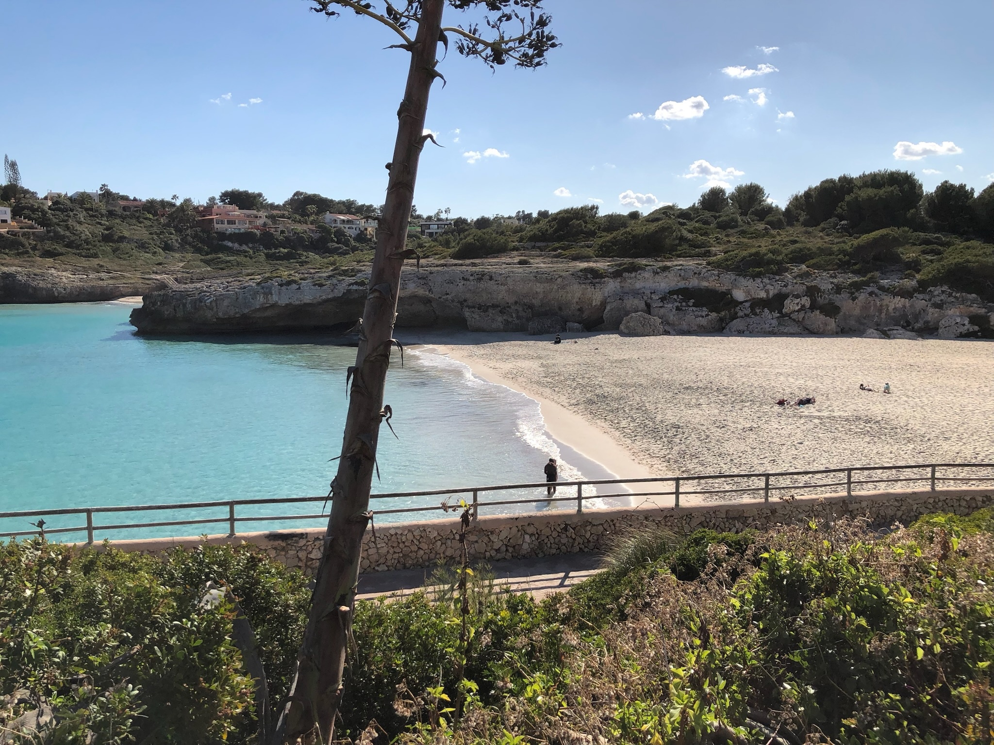 Cales de Mallorca