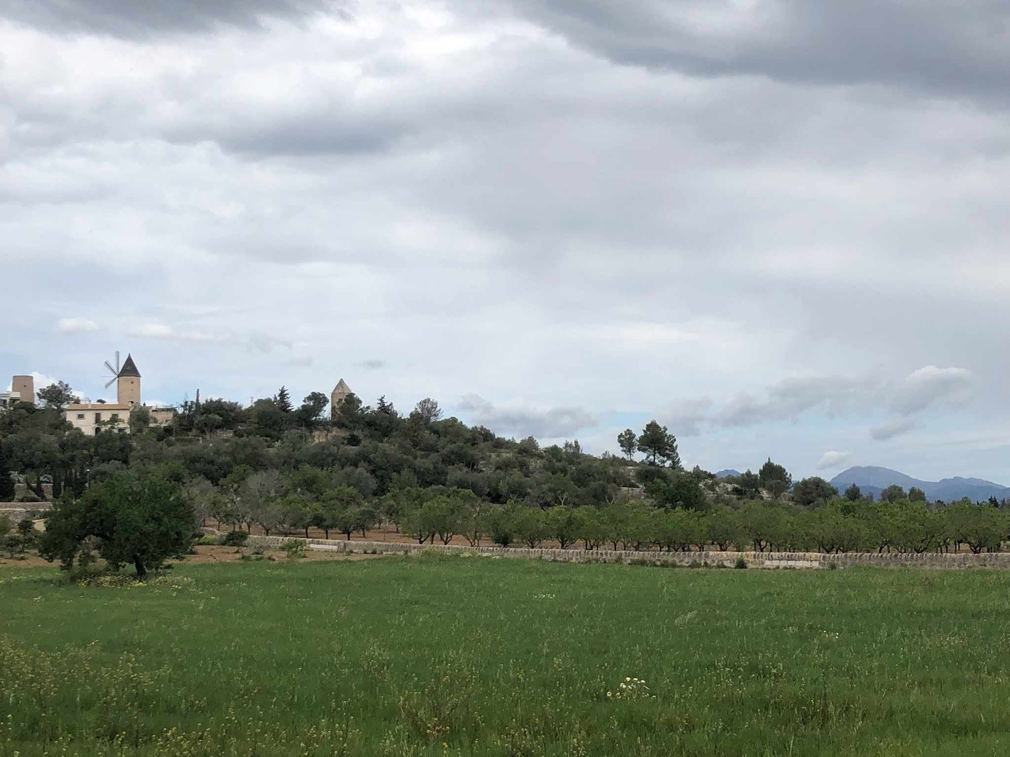 Santa Eugènia