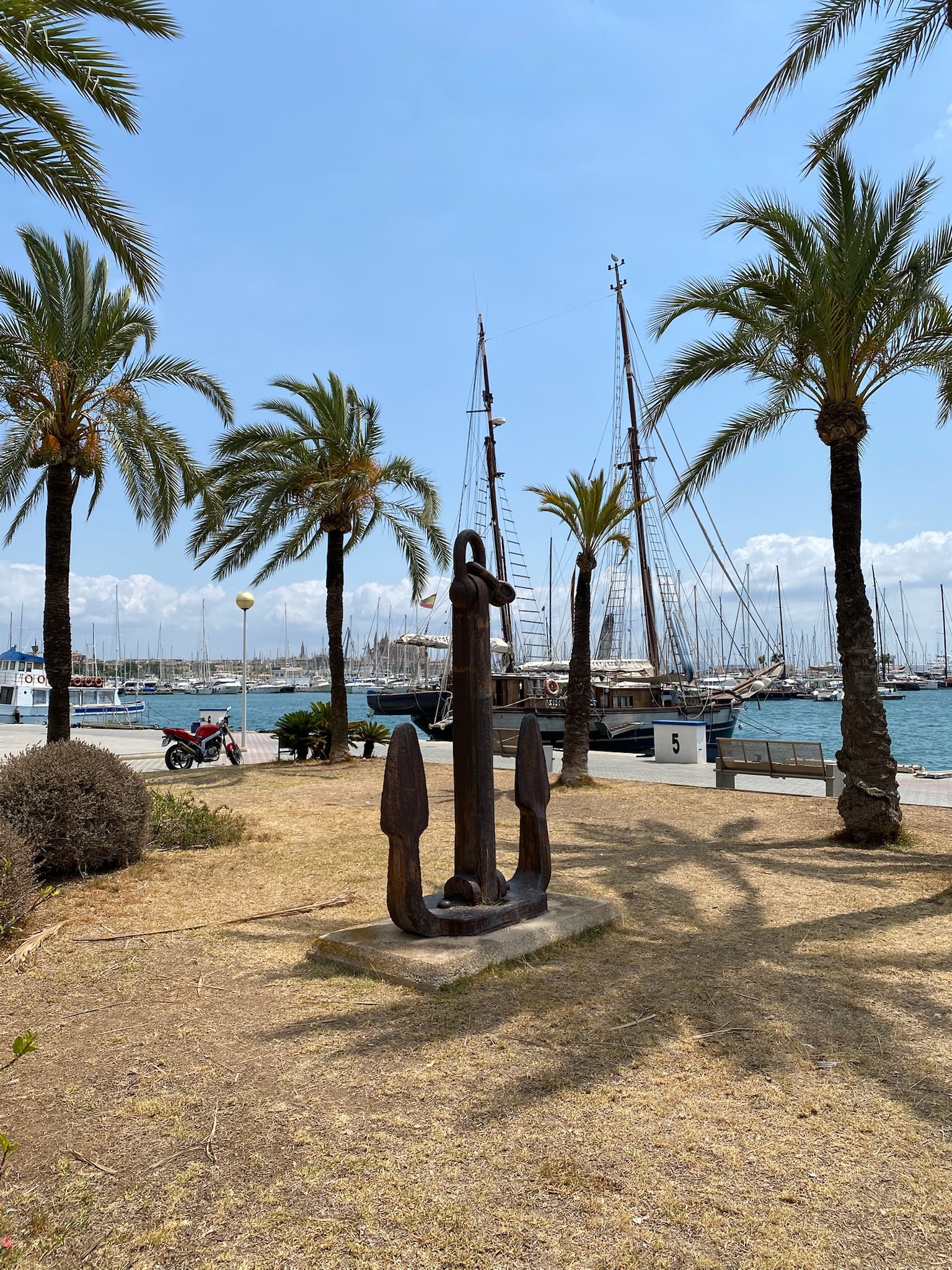 Palma