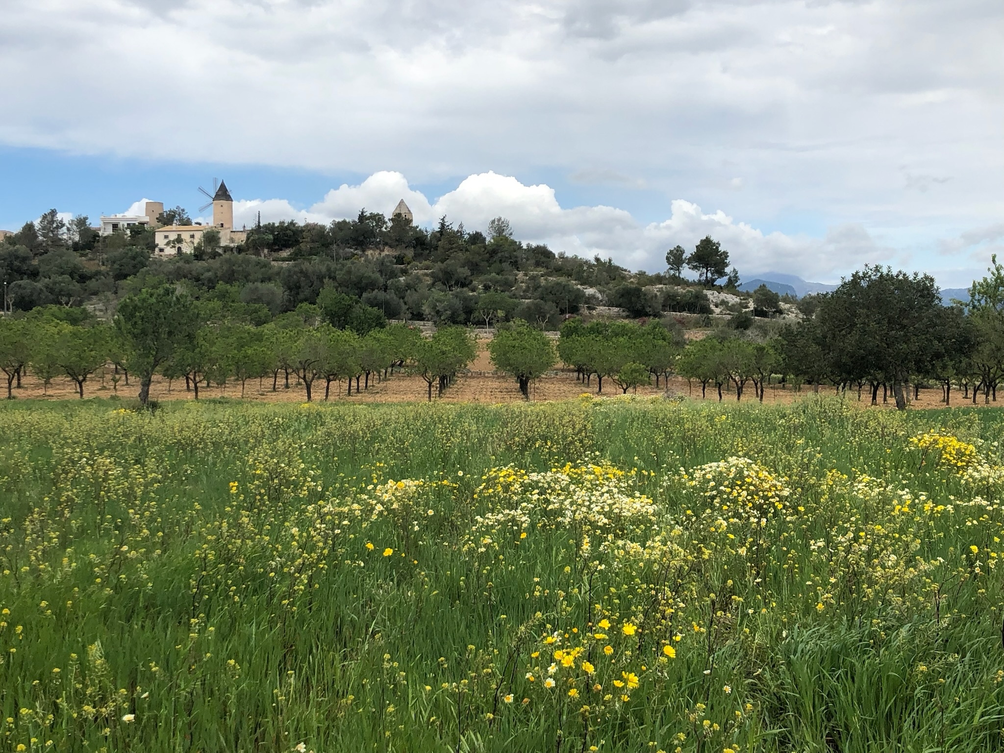 Santa Eugènia