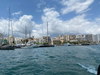 Palma