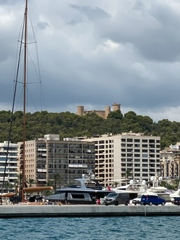 Palma