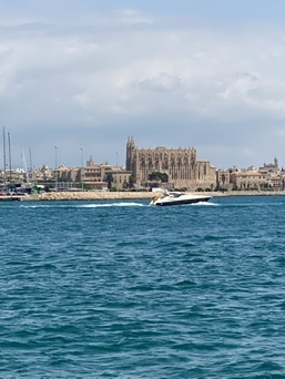 Palma