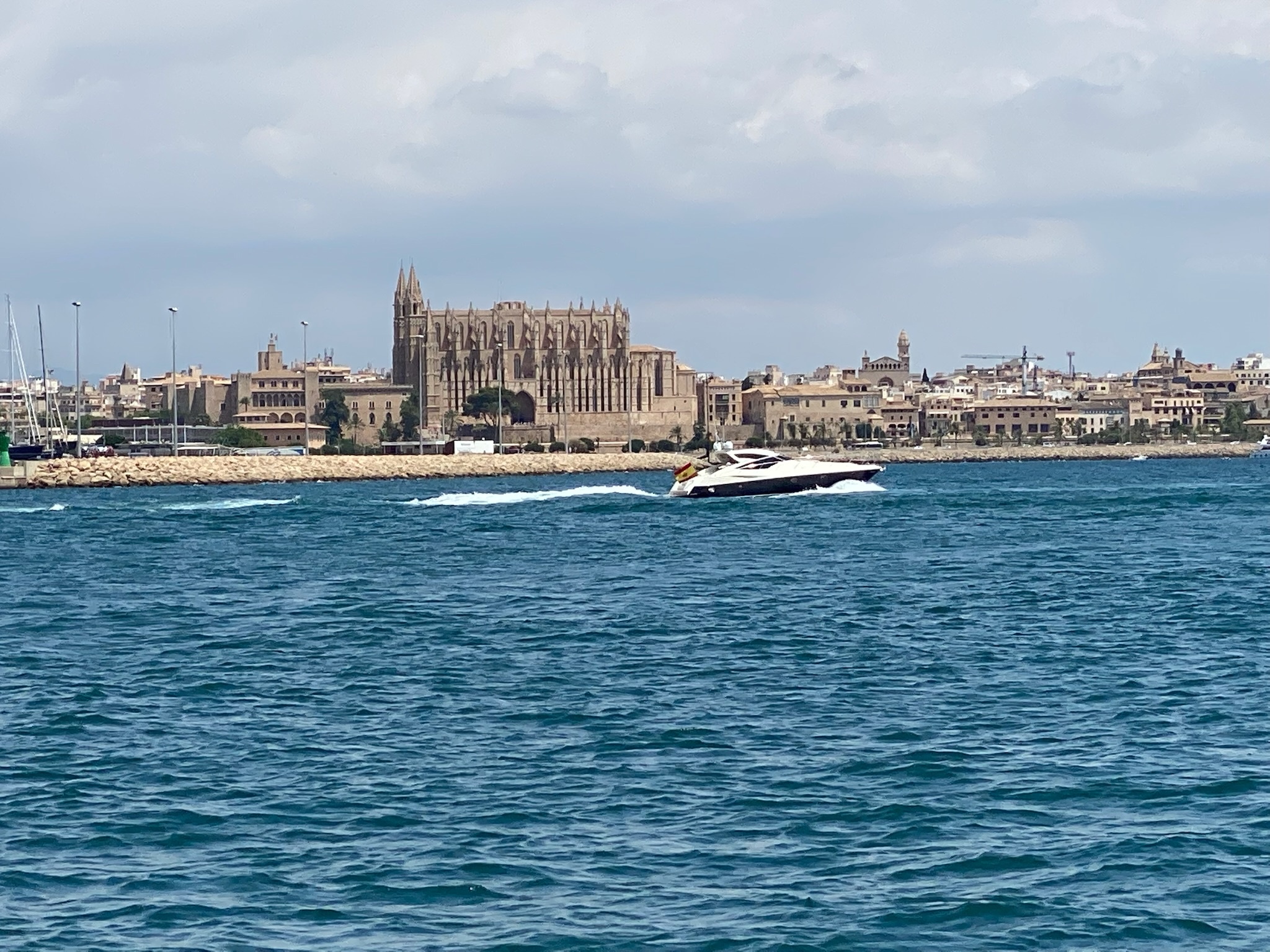 Palma