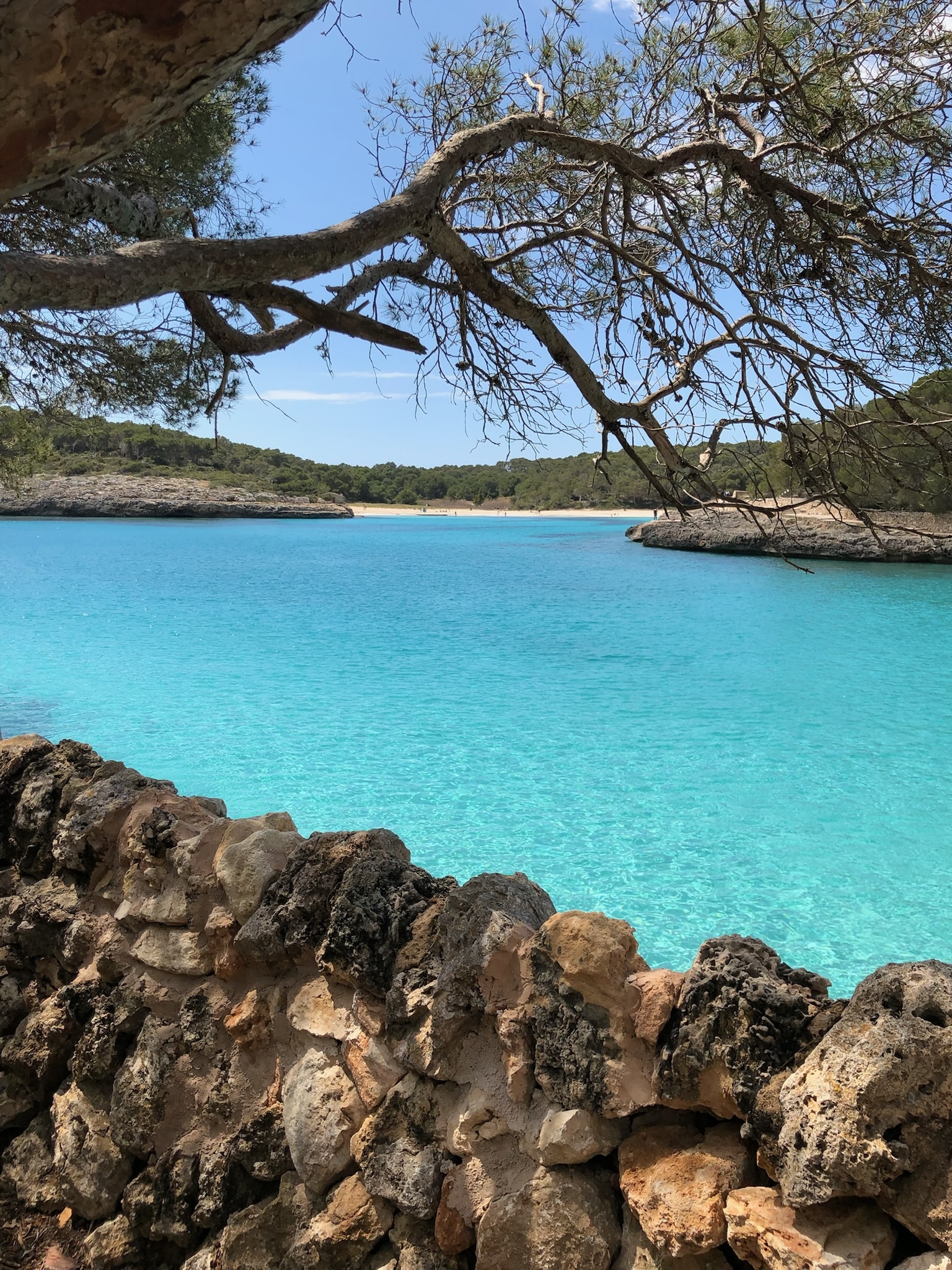 Portopetro