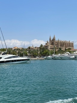 Palma