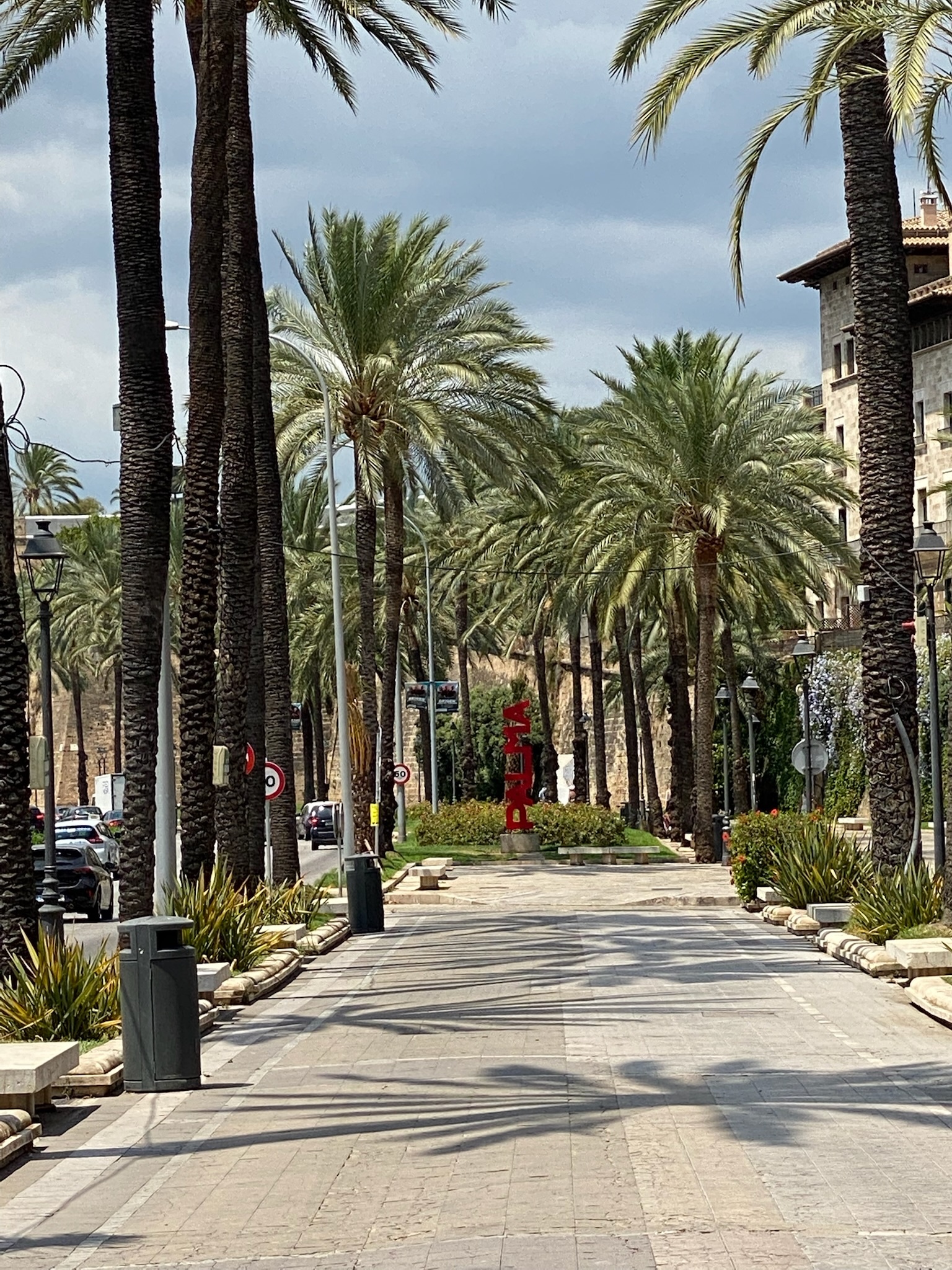 Palma