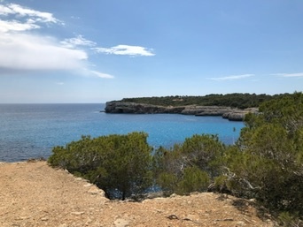 Portopetro
