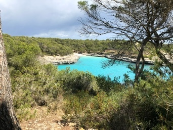 Portopetro