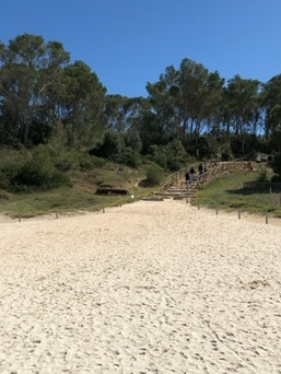 Portopetro