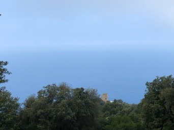 Puerto de Valldemossa