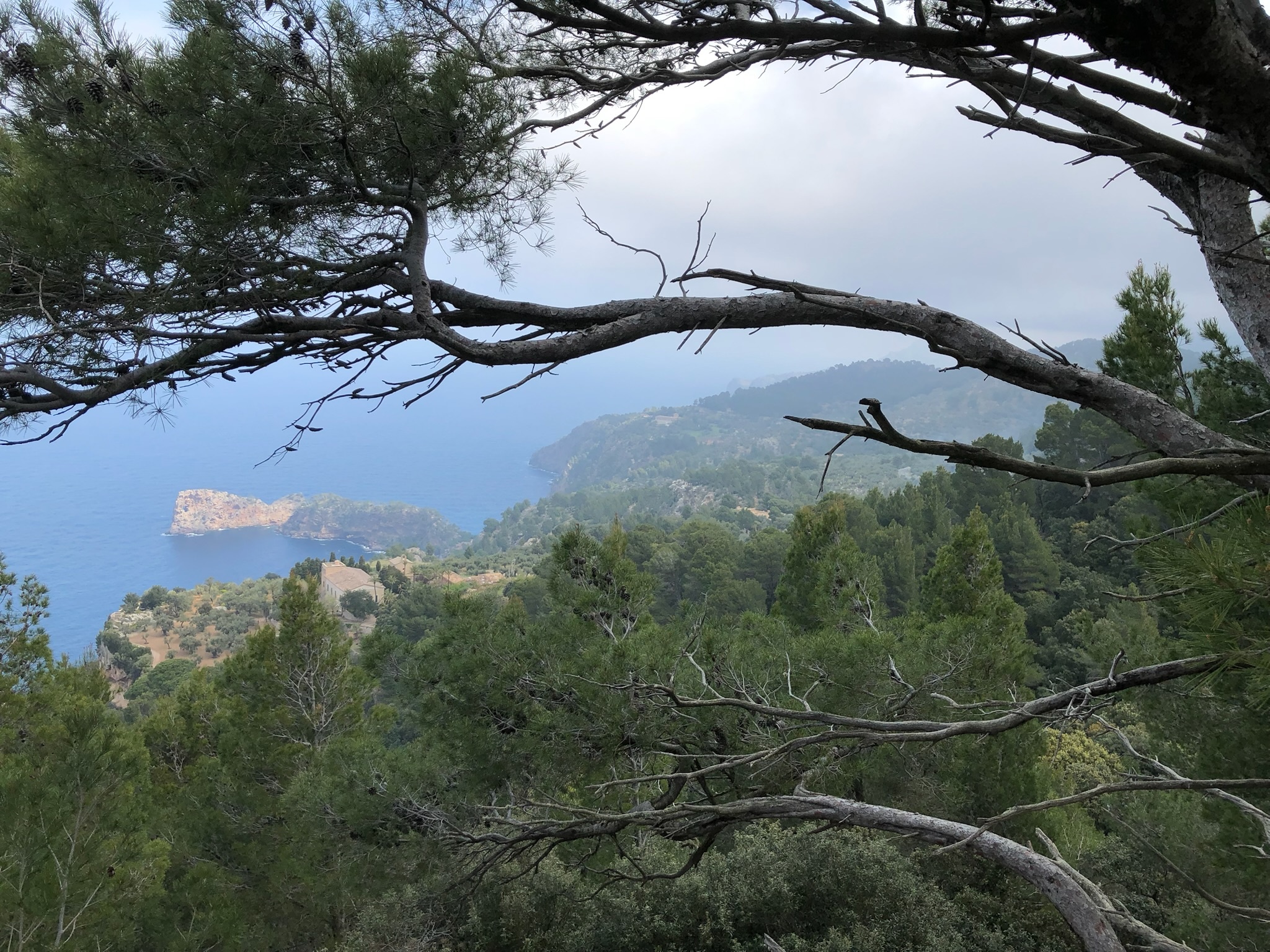 Valldemossa