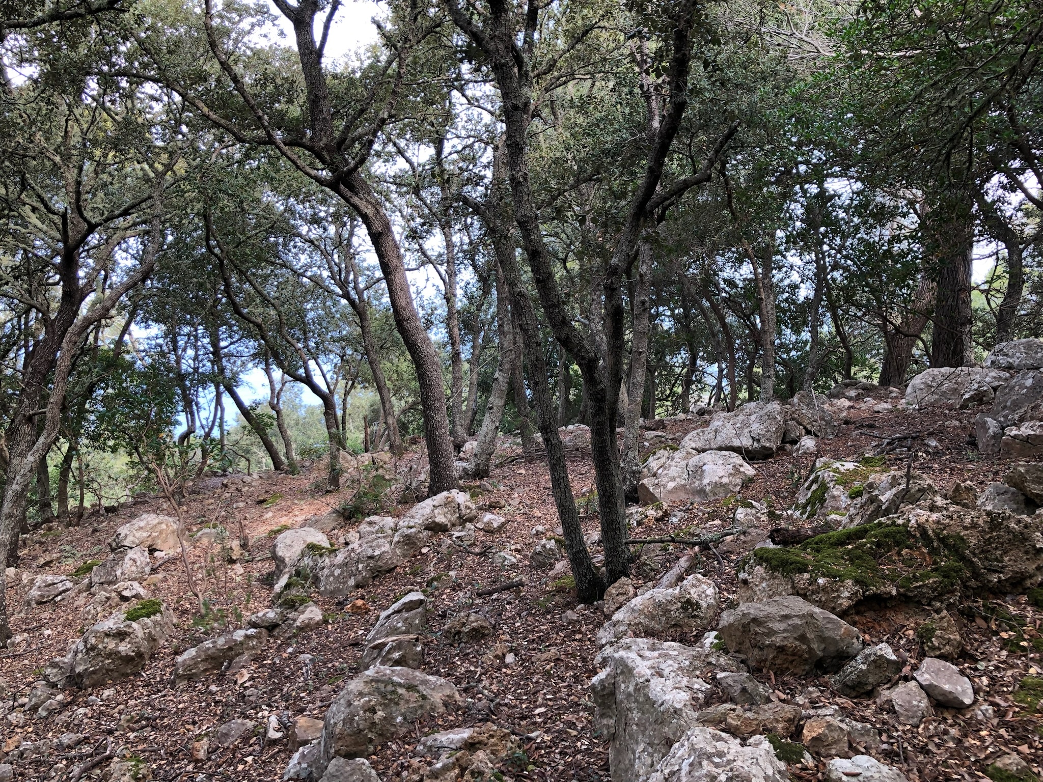 Valldemossa