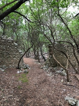 Valldemossa
