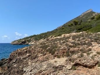 Sant Elm