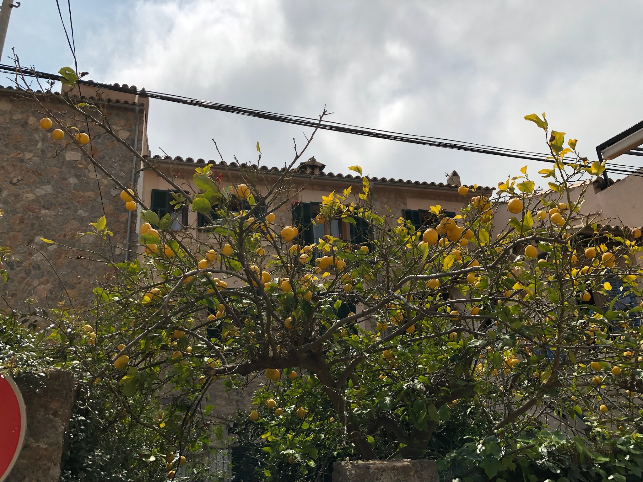 Valldemossa