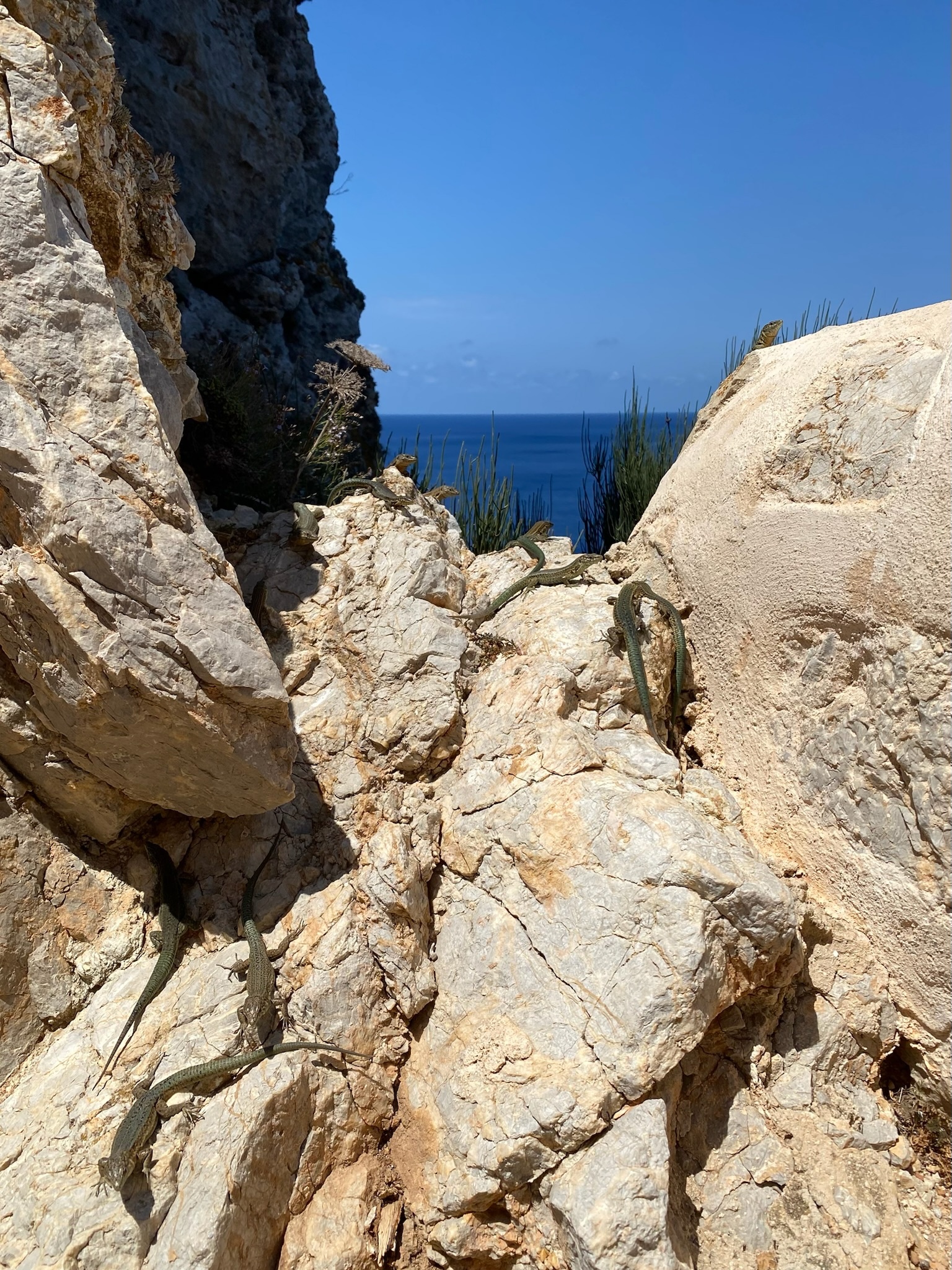 Sant Elm