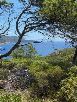 Sant Elm