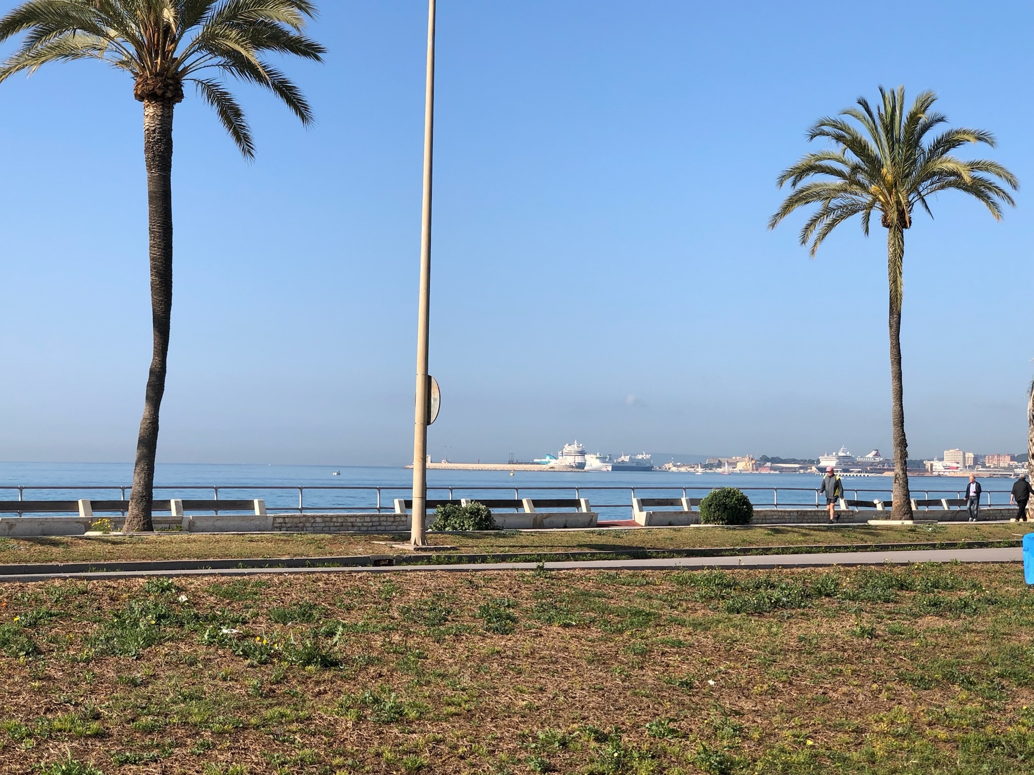 Palma