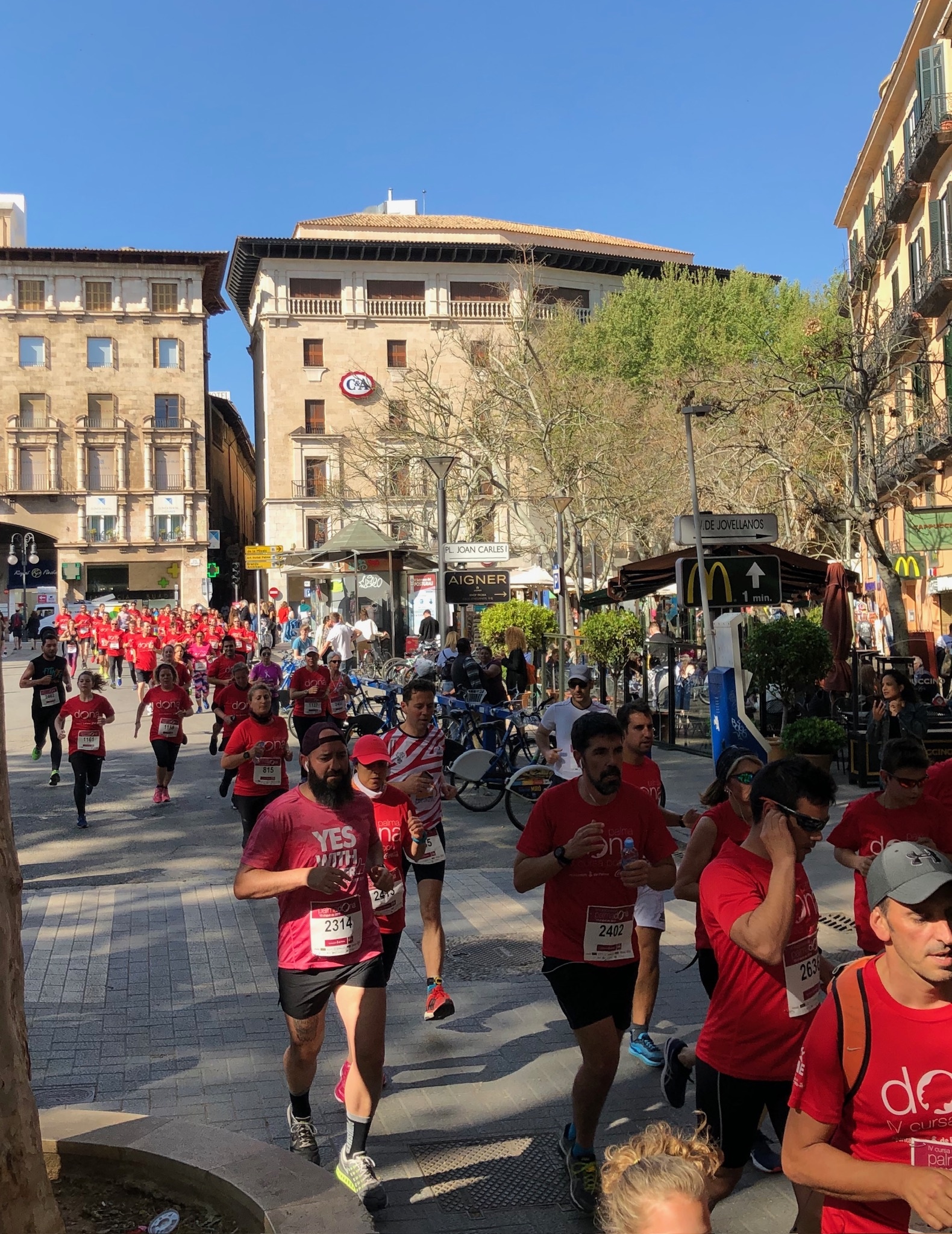 Palma