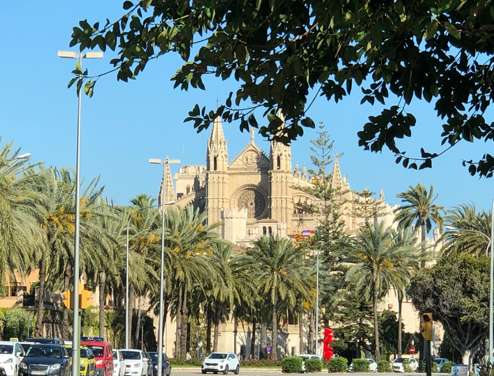 Palma