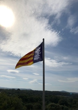 Son Moro