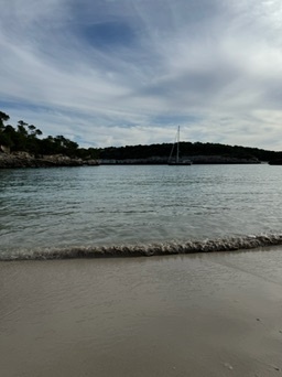 Portopetro
