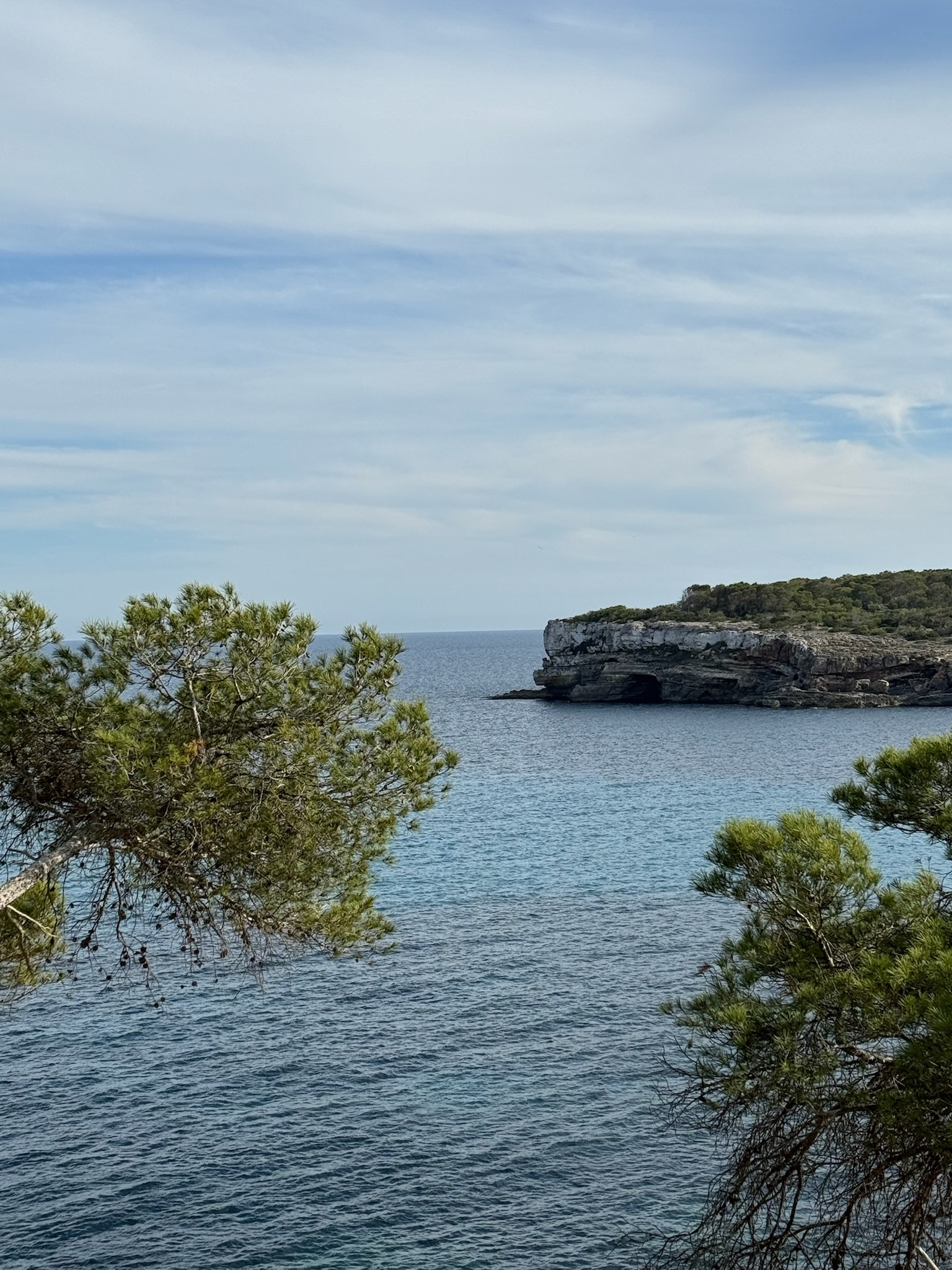 Portopetro
