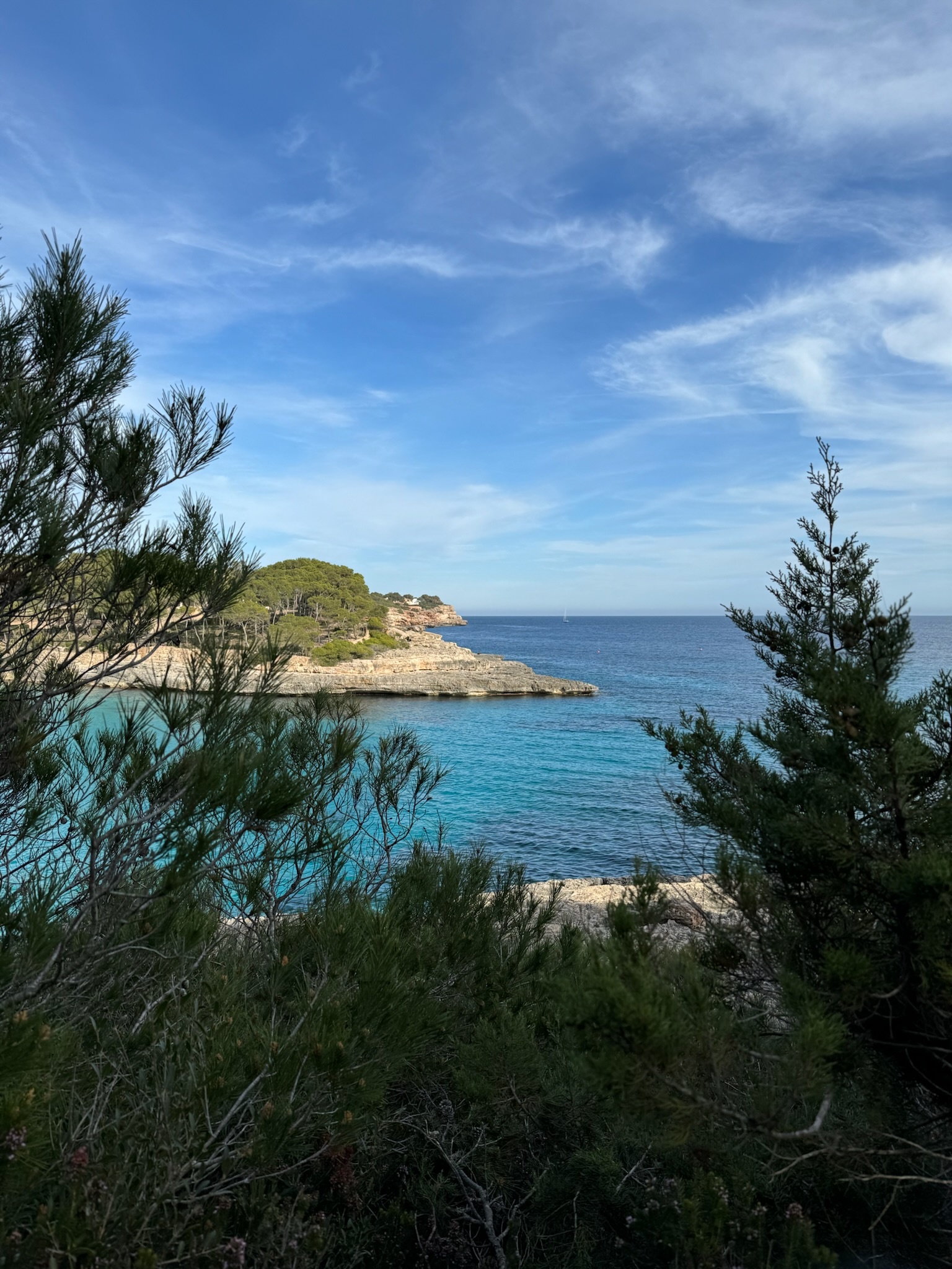 Portopetro
