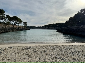 Portopetro