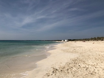 ses Covetes