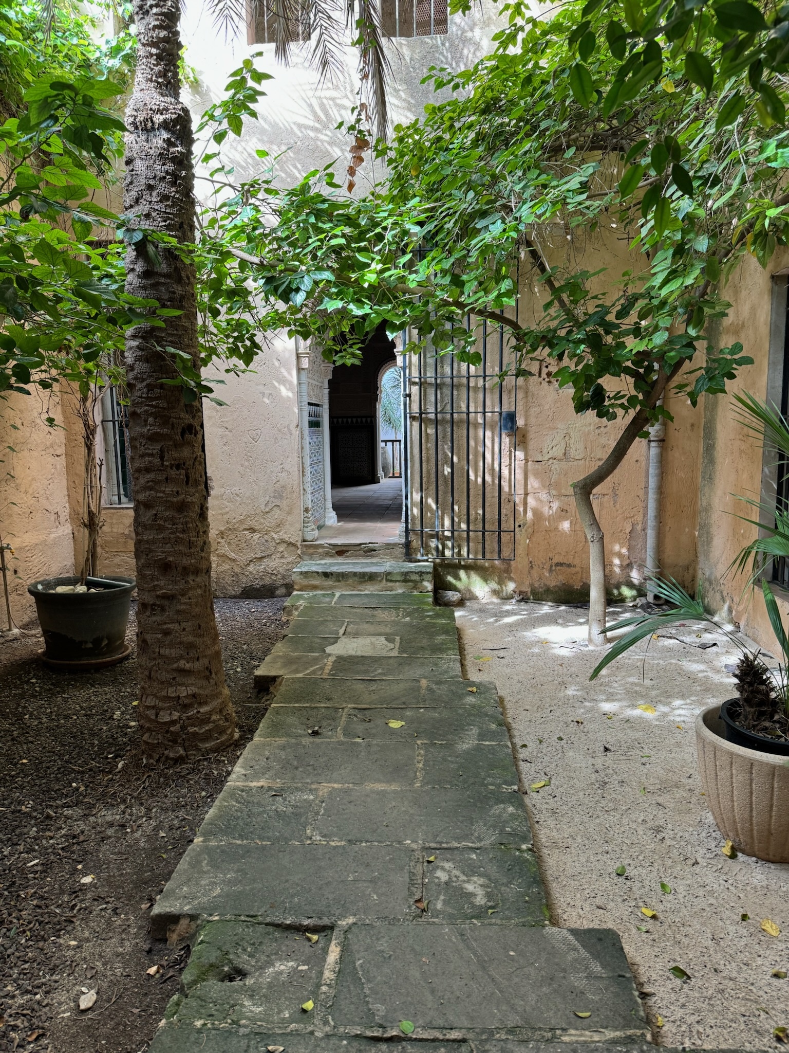 Palma