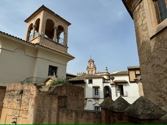 Palma