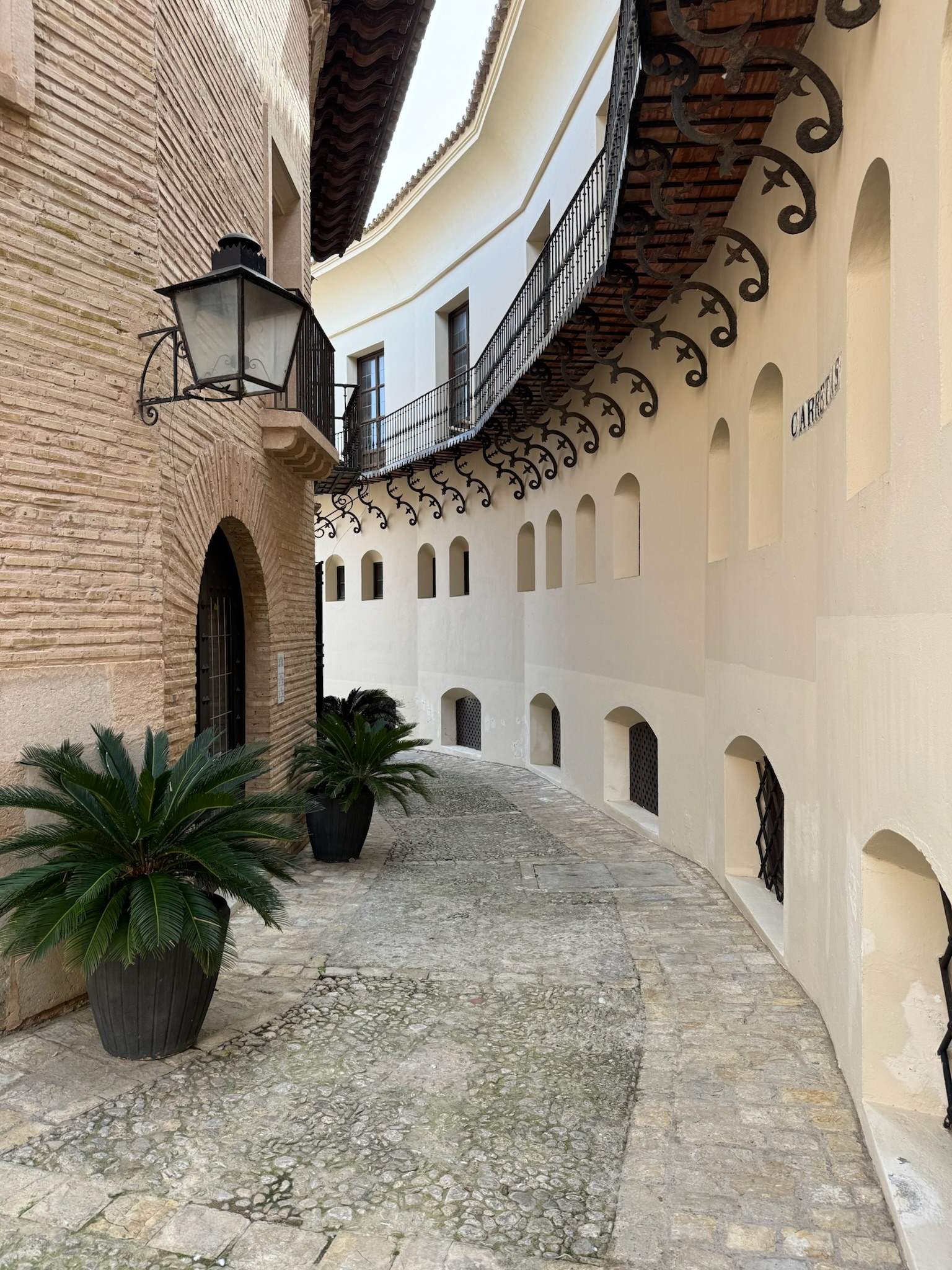 Palma