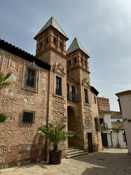 Palma