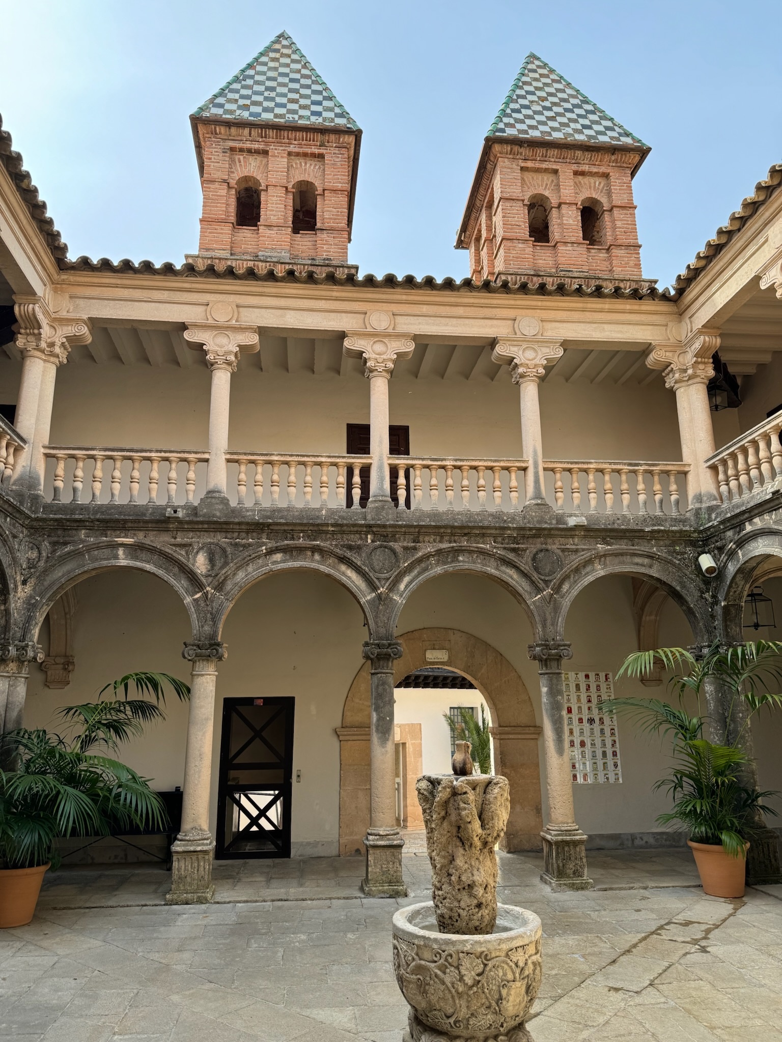 Palma