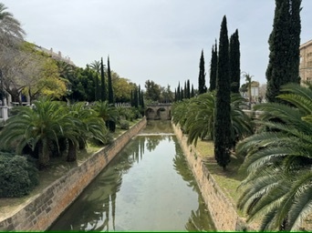 Palma