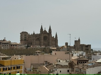 Palma