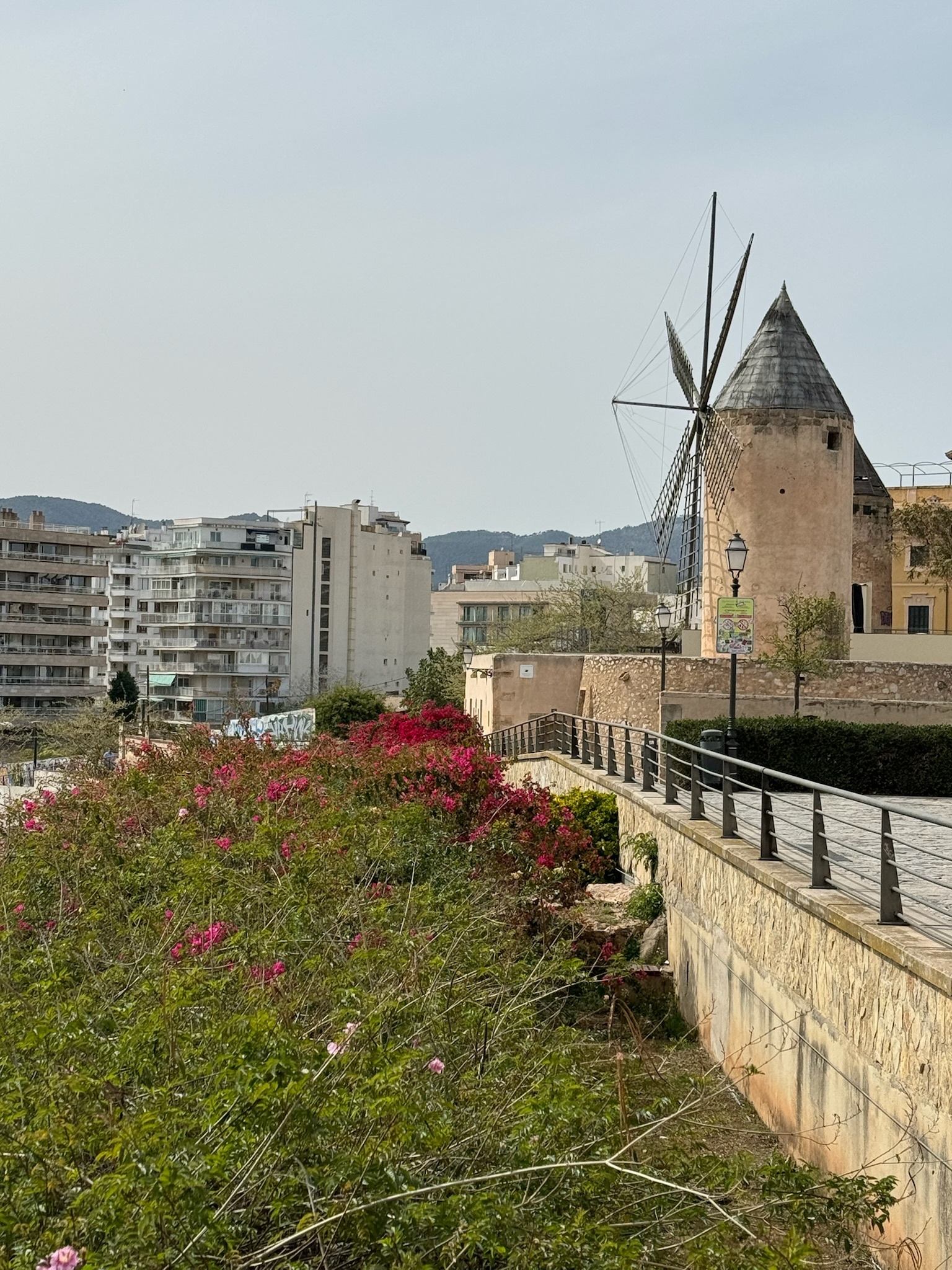 Palma