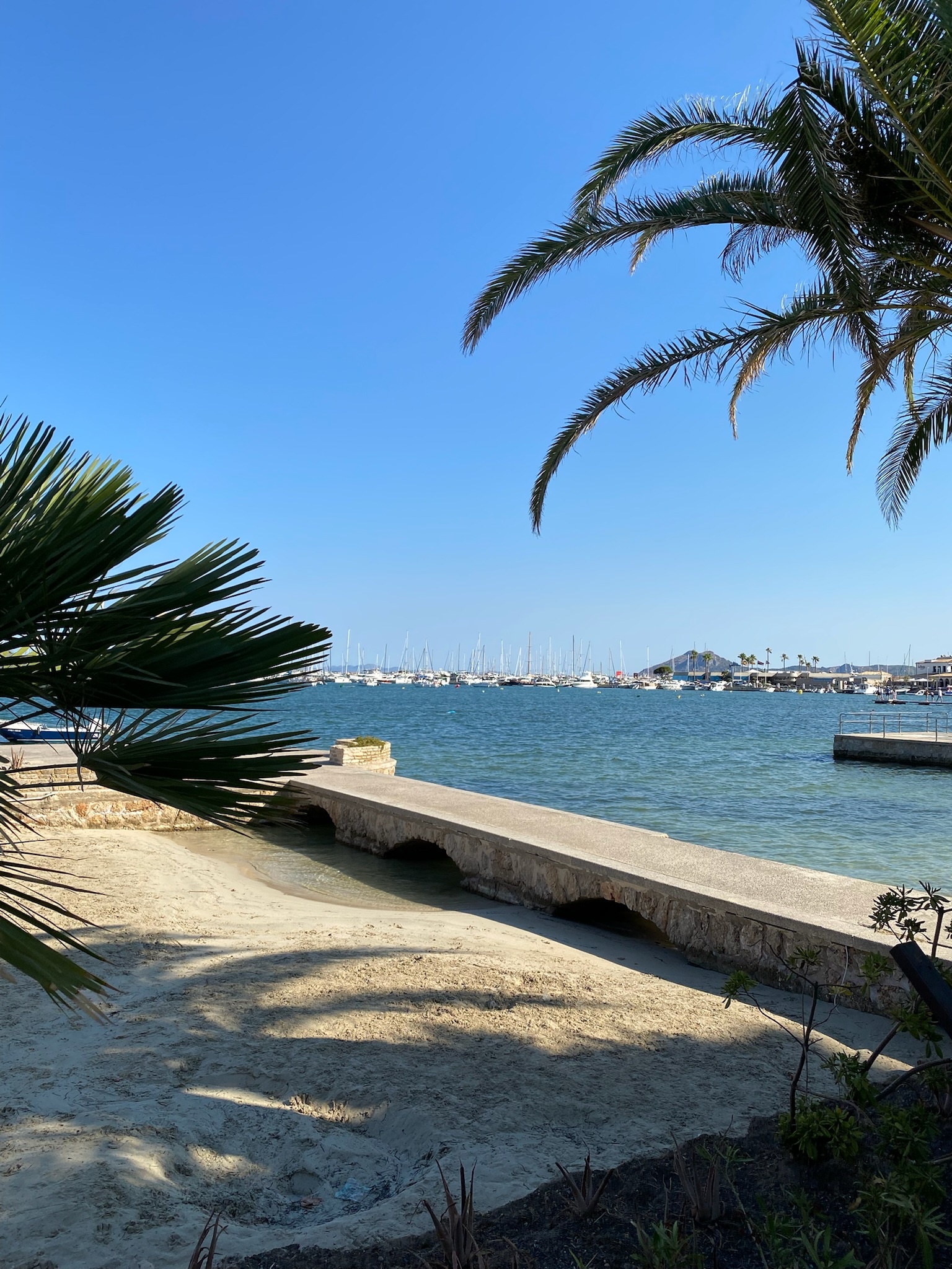 Puerto de Pollença