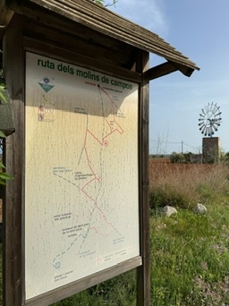 Campos