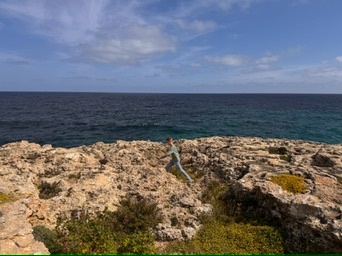 Cales de Mallorca